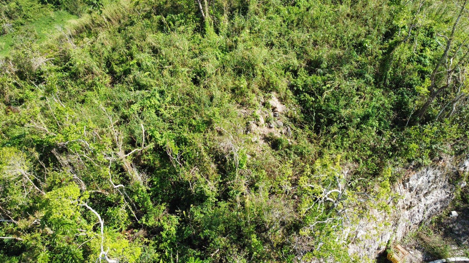 Twenty-First image of Hopeton Pen in Mandeville, Manchester, Jamaica - property is For Sale