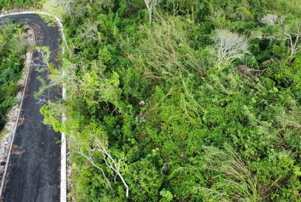 Fourth image of Hopeton Pen in Mandeville, Manchester, Jamaica - property is For Sale