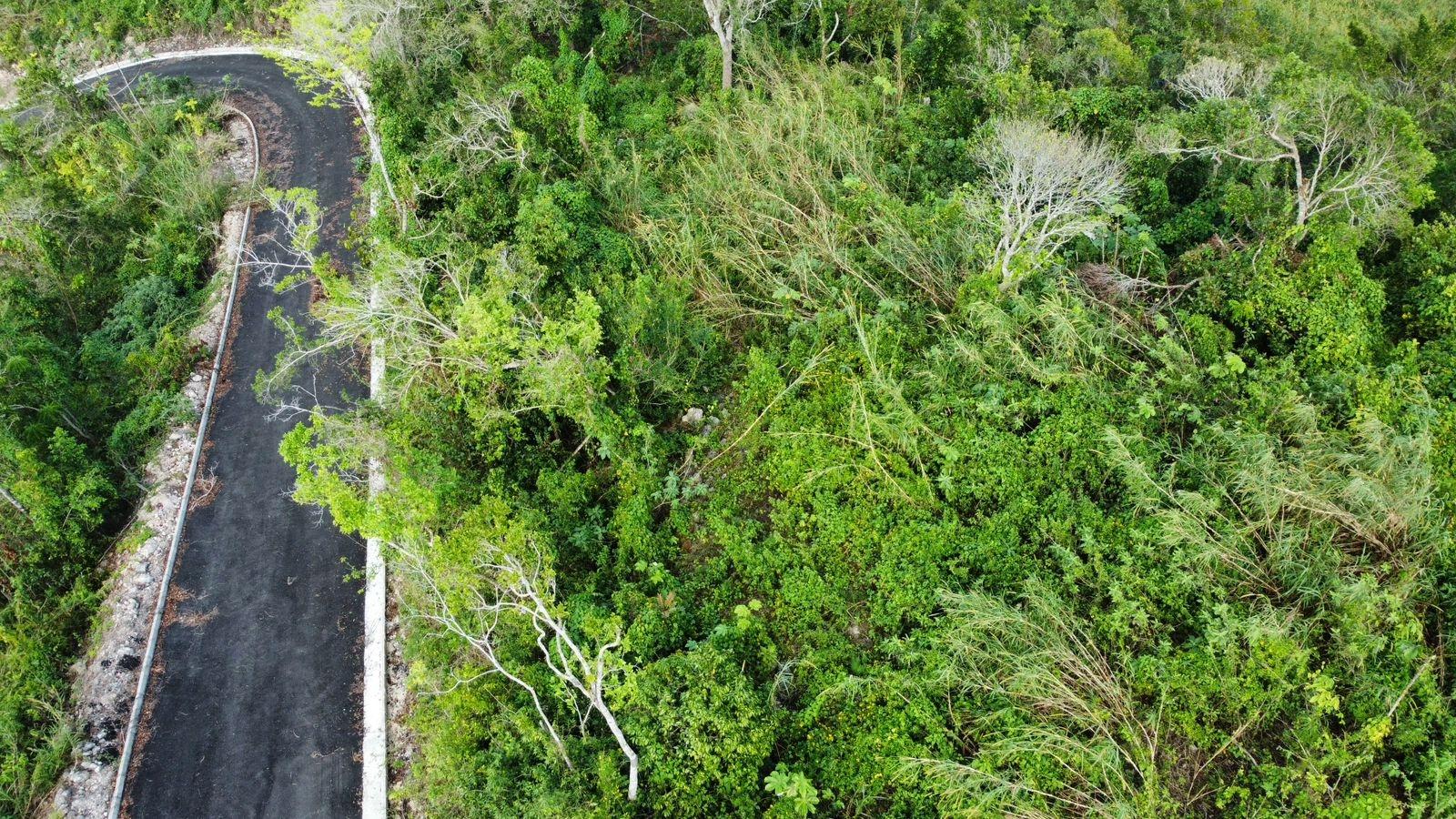 Fourth image of Hopeton Pen in Mandeville, Manchester, Jamaica - property is For Sale