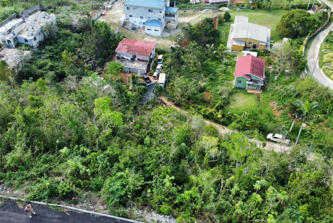 Fifth image of Hopeton Pen in Mandeville, Manchester, Jamaica - property is For Sale