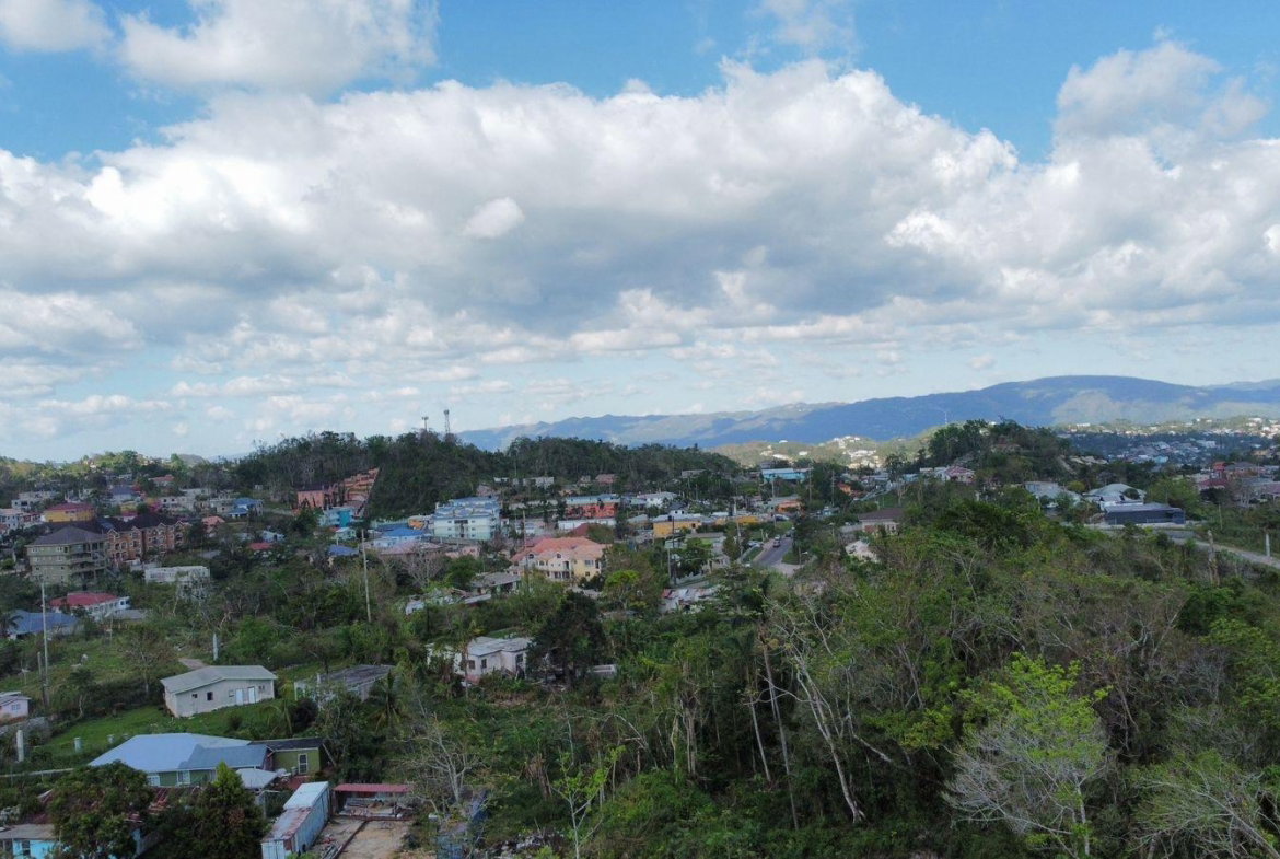 Sixth image of Hopeton Pen in Mandeville, Manchester, Jamaica - property is For Sale