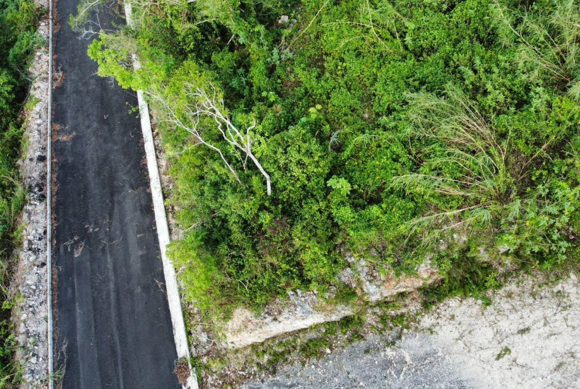 Seventh image of Hopeton Pen in Mandeville, Manchester, Jamaica - property is For Sale