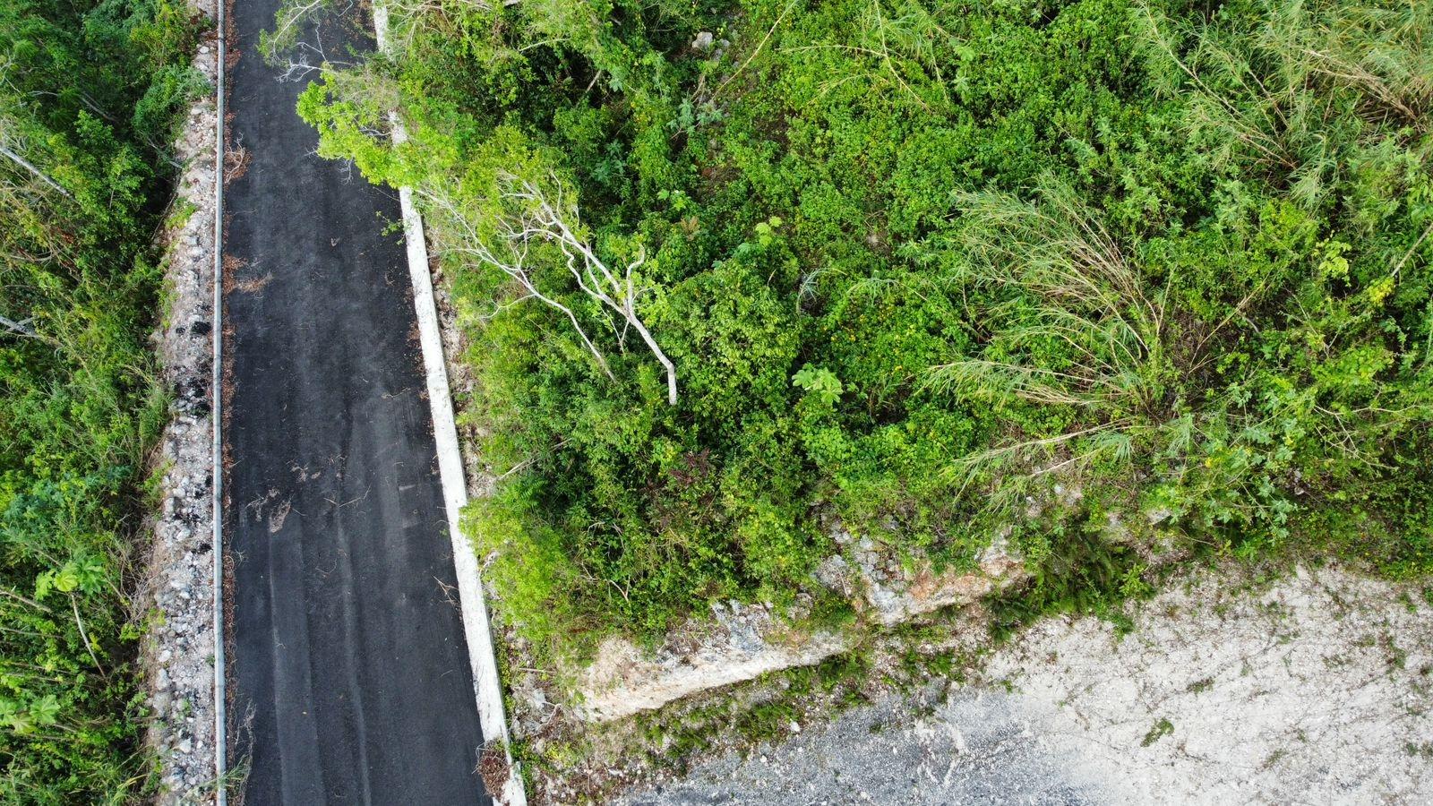 Seventh image of Hopeton Pen in Mandeville, Manchester, Jamaica - property is For Sale