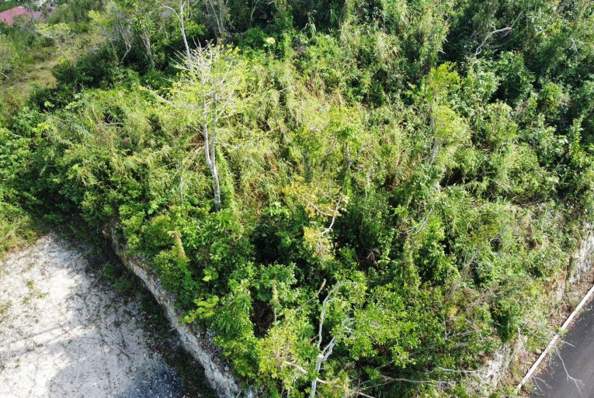 Eighth image of Hopeton Pen in Mandeville, Manchester, Jamaica - property is For Sale