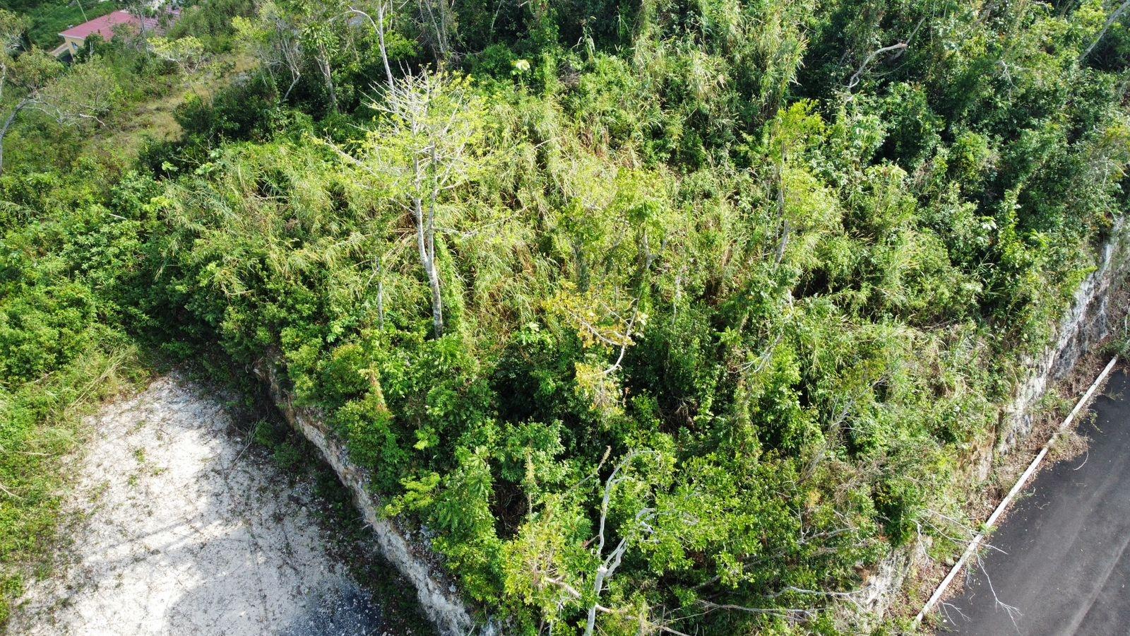 Eighth image of Hopeton Pen in Mandeville, Manchester, Jamaica - property is For Sale