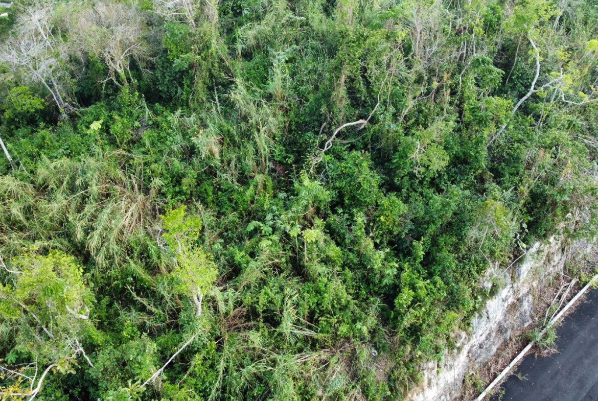 Ninth image of Hopeton Pen in Mandeville, Manchester, Jamaica - property is For Sale