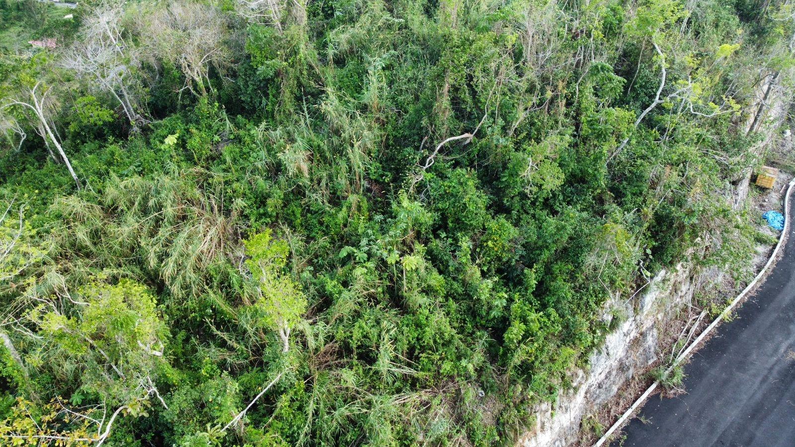 Ninth image of Hopeton Pen in Mandeville, Manchester, Jamaica - property is For Sale