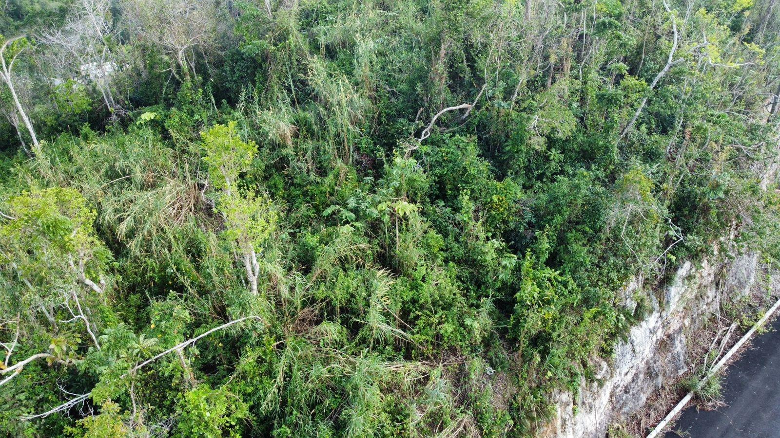 Tenth image of Hopeton Pen in Mandeville, Manchester, Jamaica - property is For Sale