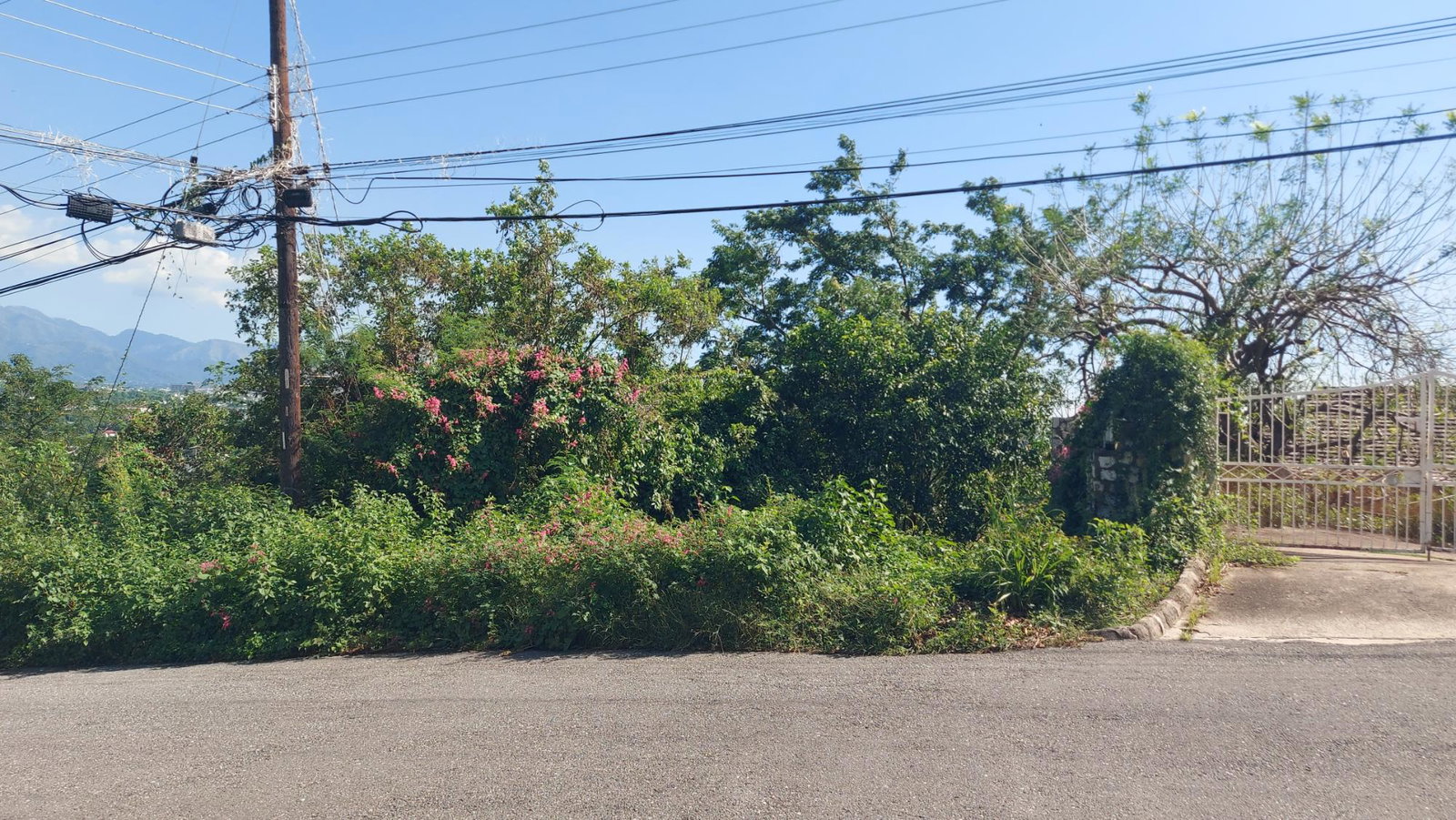 Fourth image of 109 Queen Hill in Kingston 19, St. Andrew, Jamaica - property is For Sale