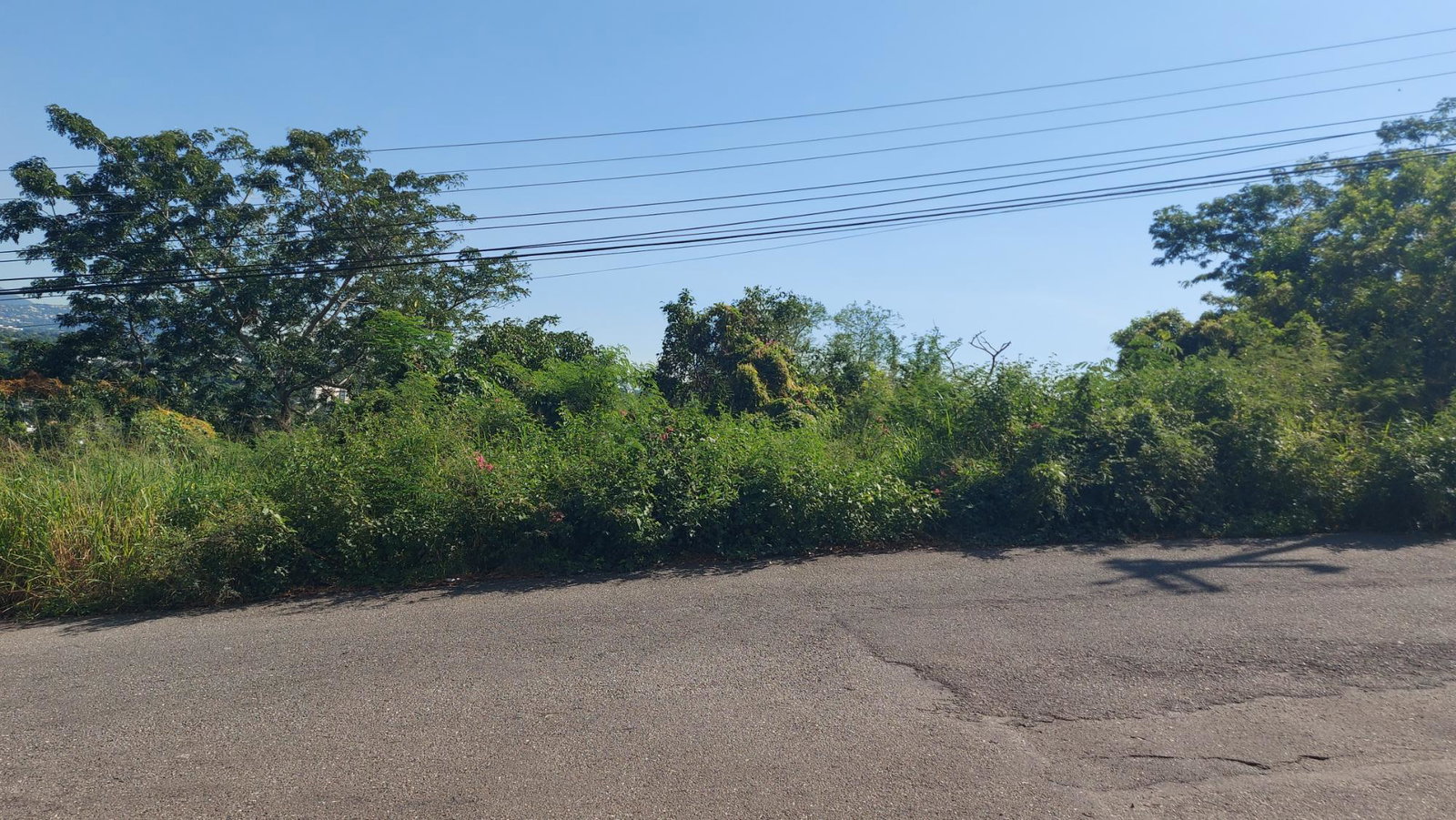 Sixth image of 109 Queen Hill in Kingston 19, St. Andrew, Jamaica - property is For Sale