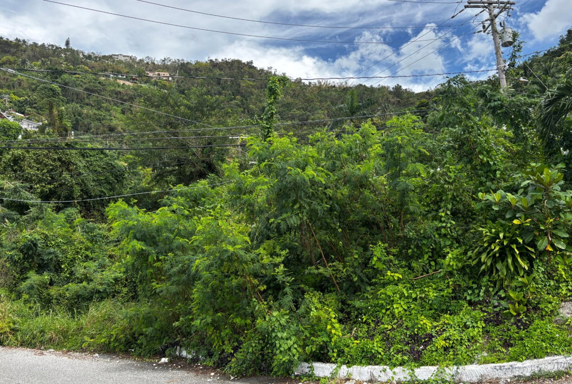 Ninth image of 120c Havendale Heights in Kingston 19, St. Andrew, Jamaica - property is For Sale