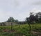 First image of 14 Guildford Drive, Spanish in Spanish Town, St. Catherine, Jamaica - property is For Sale