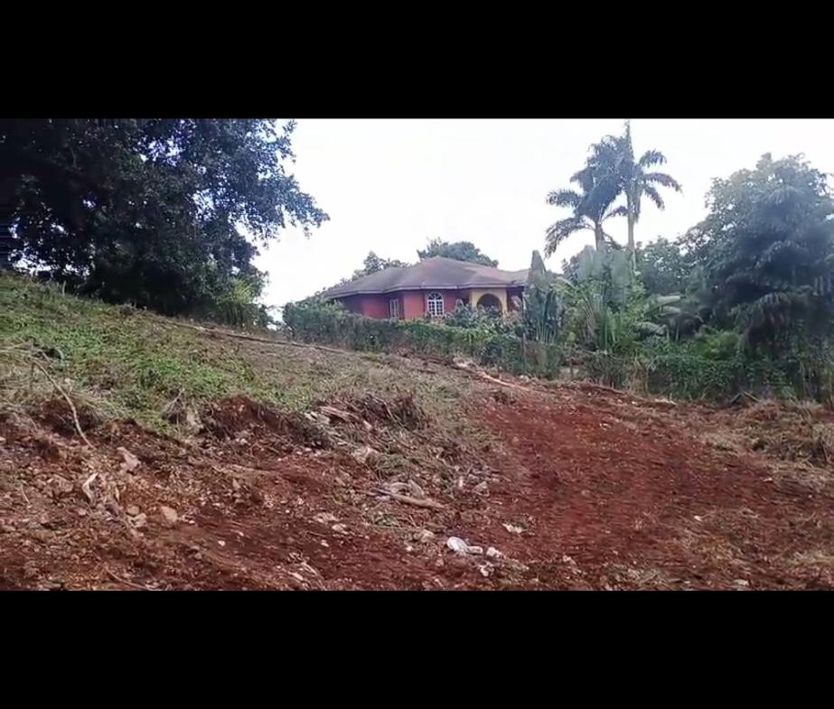 Second image of 474 Smokey Vale , Kingston 19 in Kingston 19, St. Andrew, Jamaica - property is For Sale