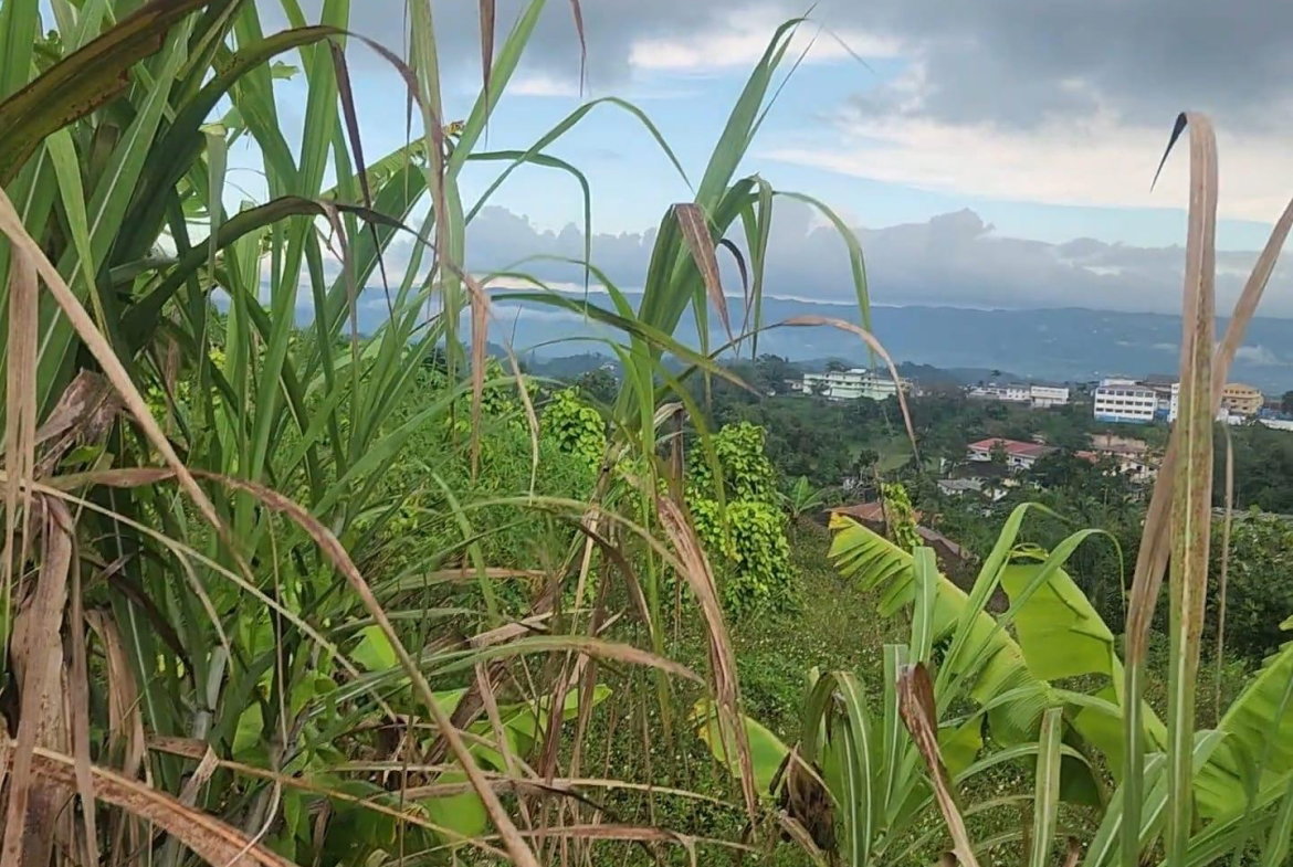 Third image of 3g- Avondale Heights in Avondale Heights, Manchester, Jamaica - property is For Sale