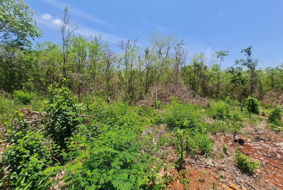 Second image of Lot 36- Bellewood Drive, Bellewoo in Spanish Town, St. Catherine, Jamaica - property is For Sale