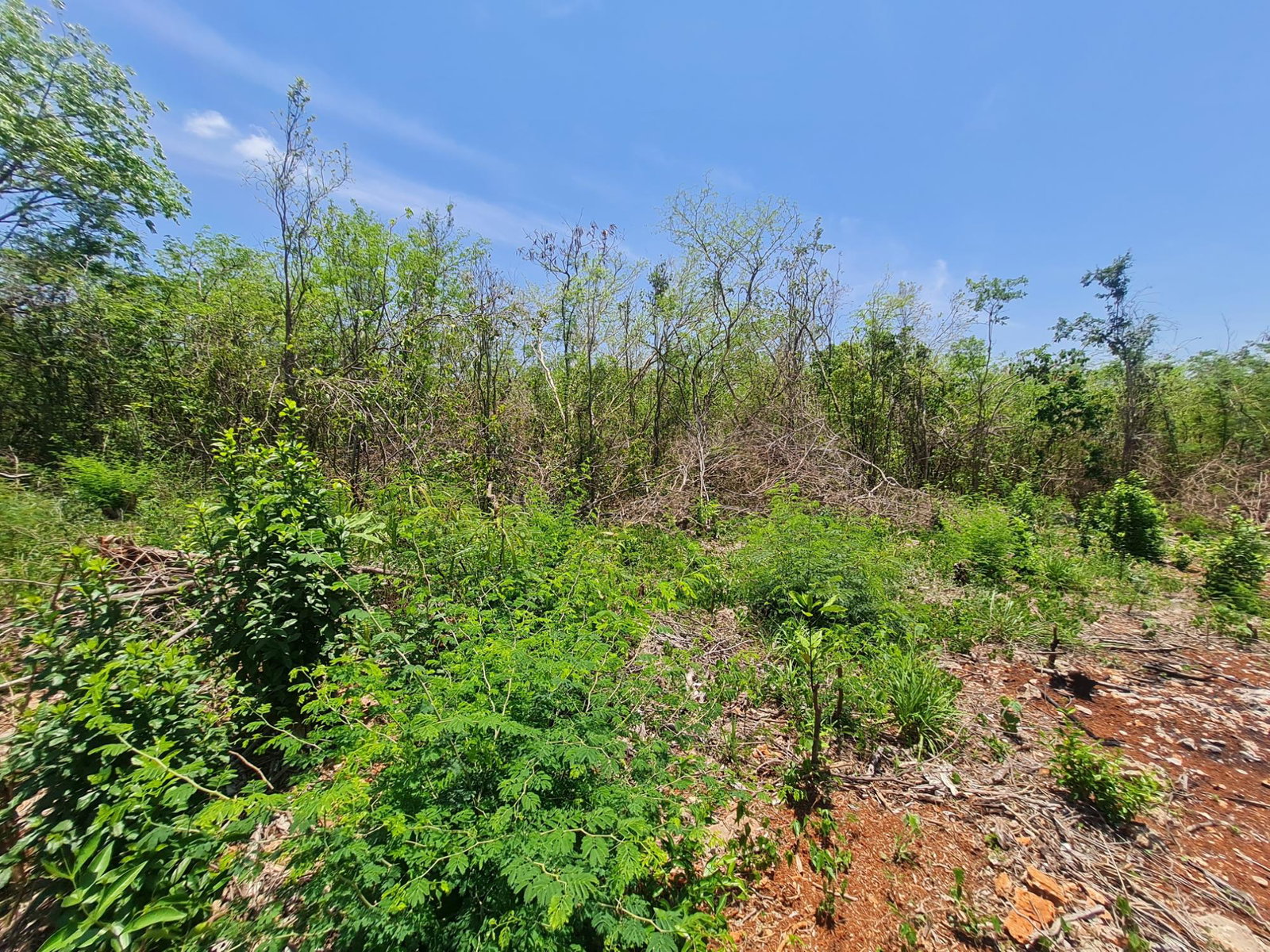 Second image of Lot 36- Bellewood Drive, Bellewoo in Spanish Town, St. Catherine, Jamaica - property is For Sale