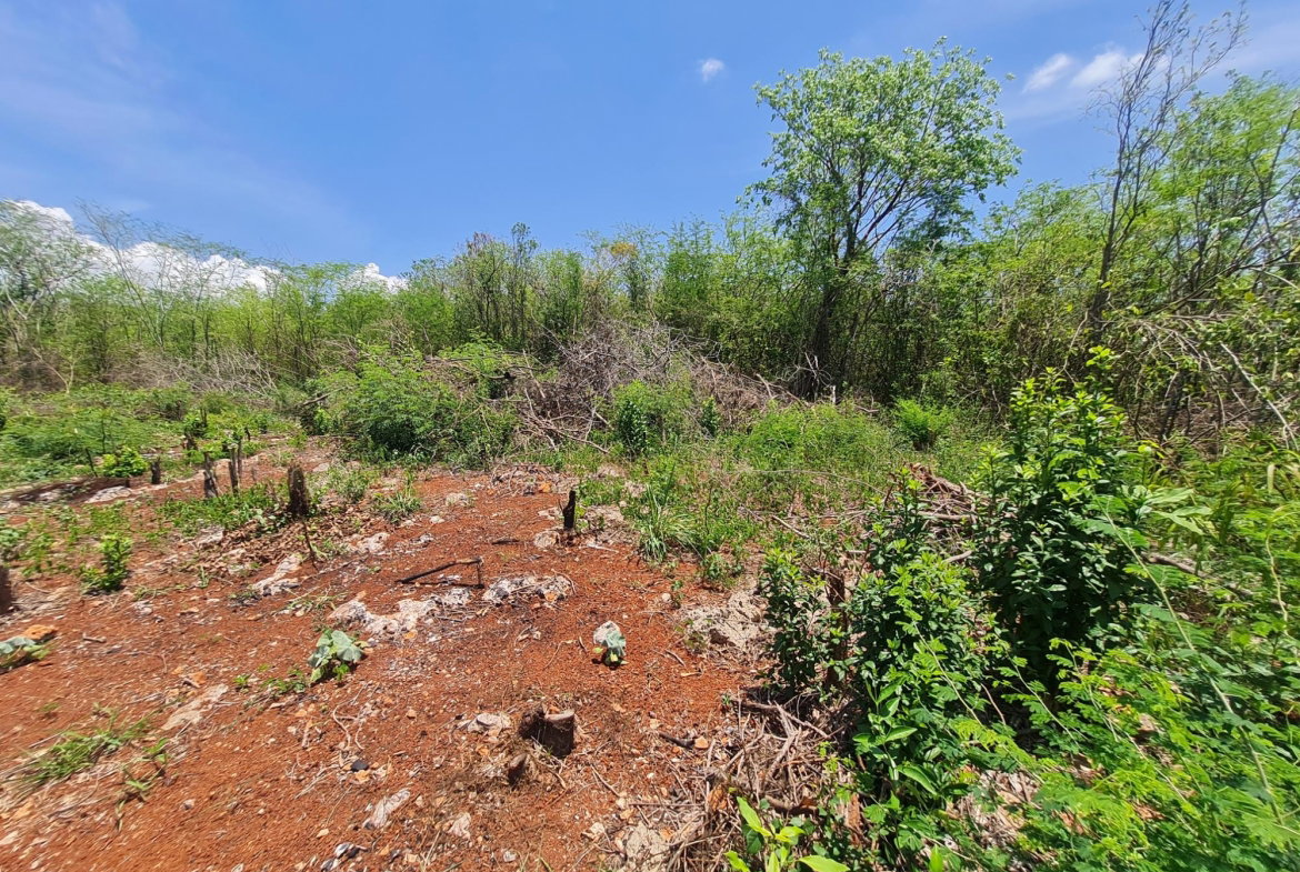 Fourth image of Lot 36- Bellewood Drive, Bellewoo in Spanish Town, St. Catherine, Jamaica - property is For Sale