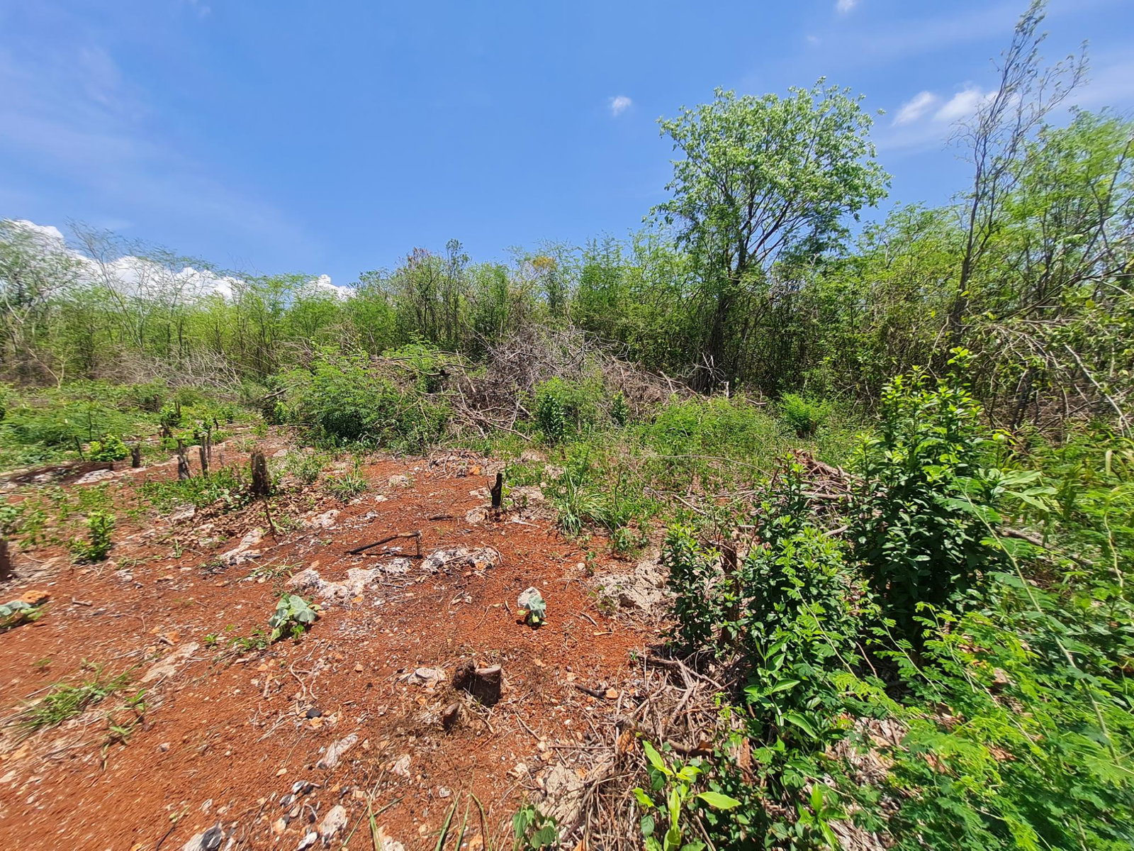 Fourth image of Lot 36- Bellewood Drive, Bellewoo in Spanish Town, St. Catherine, Jamaica - property is For Sale