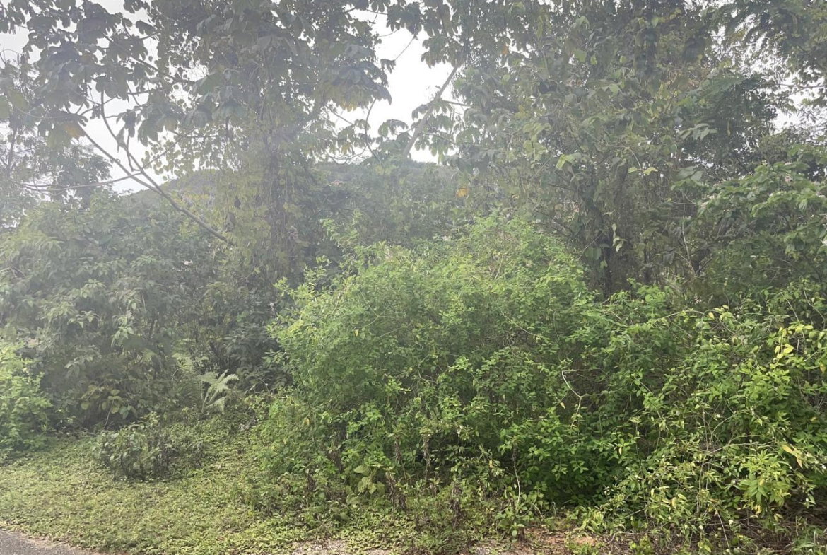 First image of 59 Heffs Crescent in Red Hills, St. Andrew, Jamaica - property is For Sale