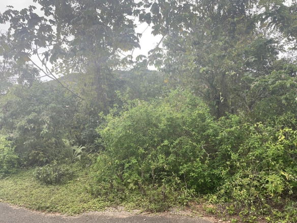 First image of 59 Heffs Crescent in Red Hills, St. Andrew, Jamaica - property is For Sale