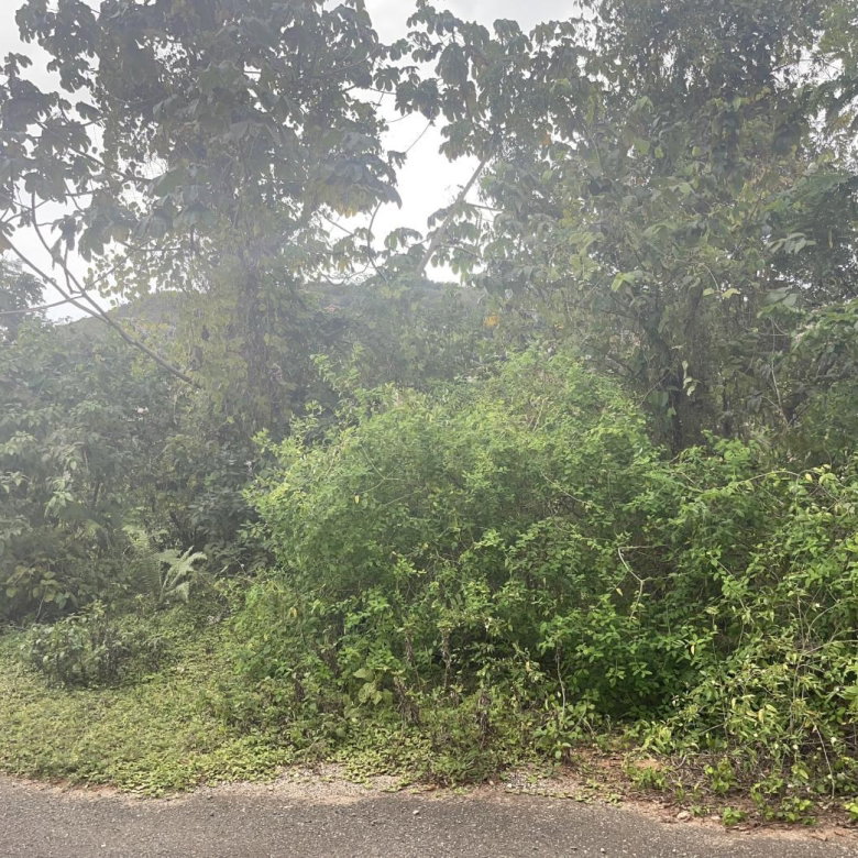 First image of 59 Heffs Crescent in Red Hills, St. Andrew, Jamaica - property is For Sale