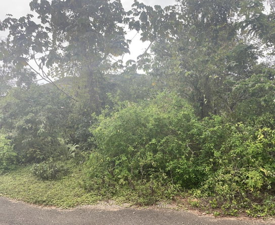 First image of 59 Heffs Crescent in Red Hills, St. Andrew, Jamaica - property is For Sale