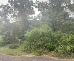 First image of 59 Heffs Crescent in Red Hills, St. Andrew, Jamaica - property is For Sale