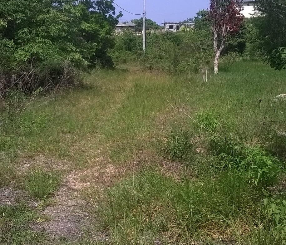 Second image of Beverley in Beverley, St. Ann, Jamaica - property is For Sale