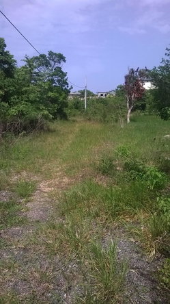 Second image of Beverley in Beverley, St. Ann, Jamaica - property is For Sale