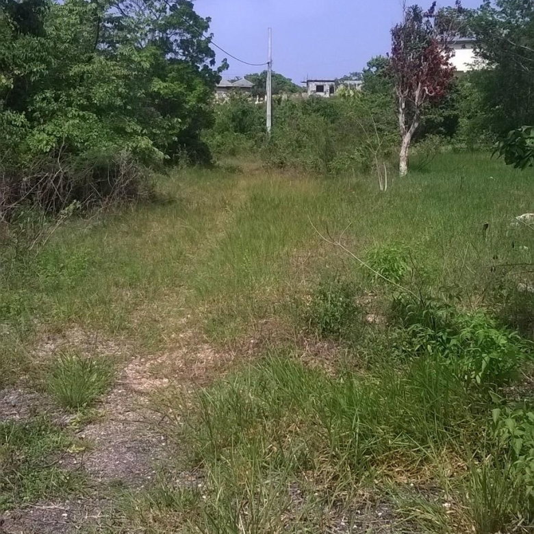 First image of Beverley in Beverley, St. Ann, Jamaica - property is For Sale