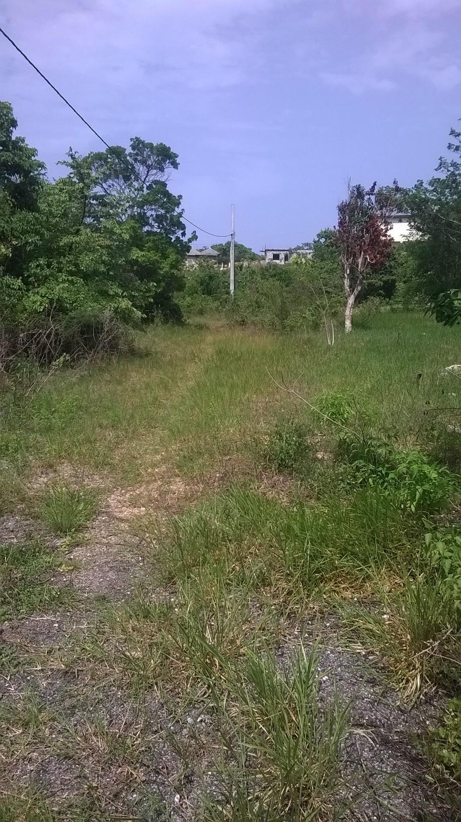 First image of Beverley in Beverley, St. Ann, Jamaica - property is For Sale