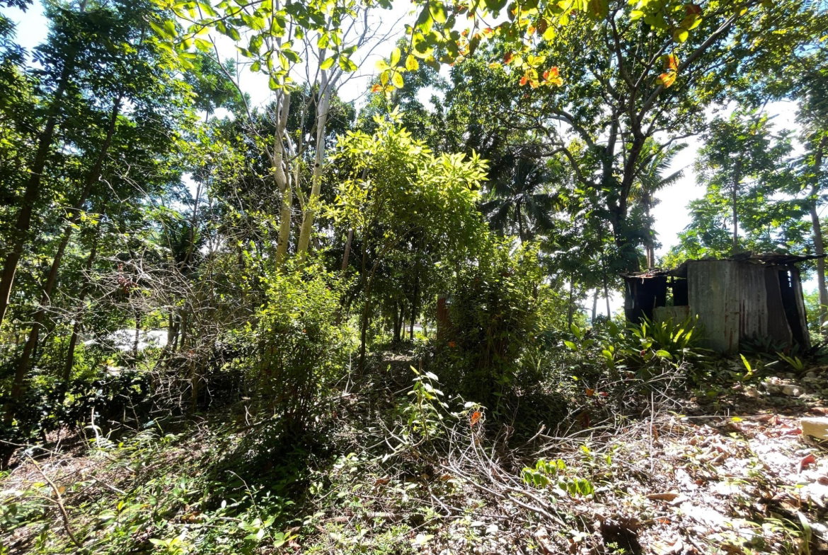 Second image of Boundbrook Port Antonio in Port Antonio, Portland, Jamaica - property is For Sale