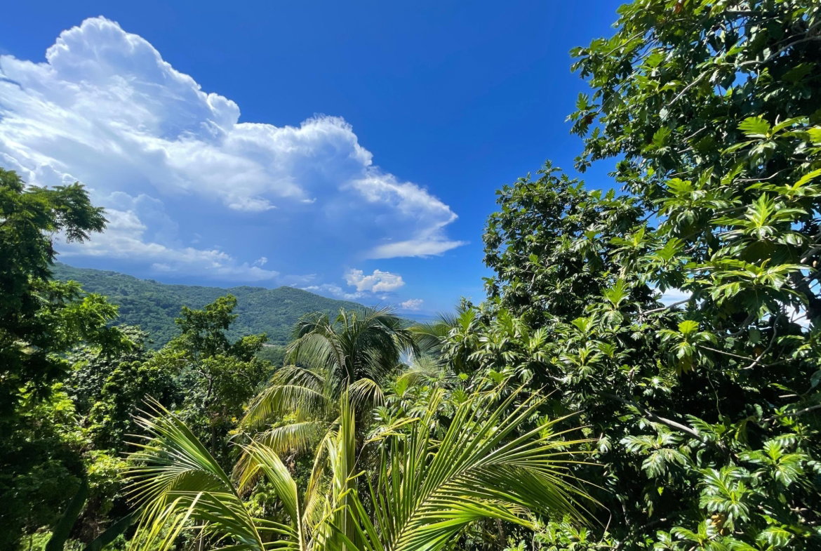 Eleventh image of Boundbrook Port Antonio in Port Antonio, Portland, Jamaica - property is For Sale