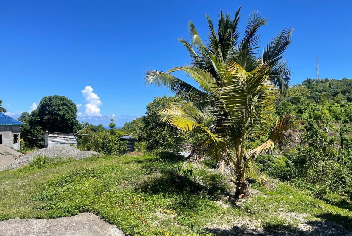 Twelfth image of Boundbrook Port Antonio in Port Antonio, Portland, Jamaica - property is For Sale