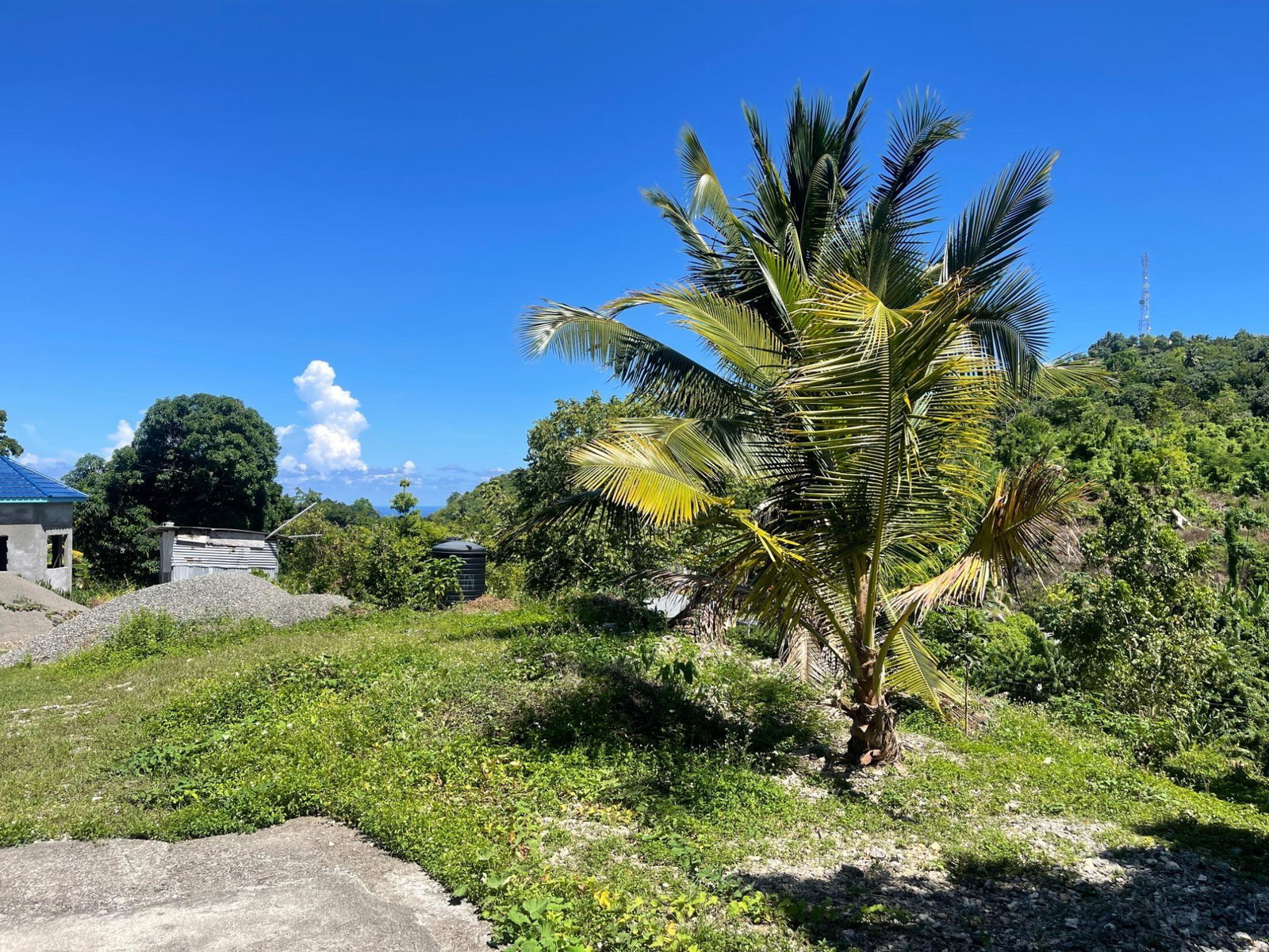 Twelfth image of Boundbrook Port Antonio in Port Antonio, Portland, Jamaica - property is For Sale