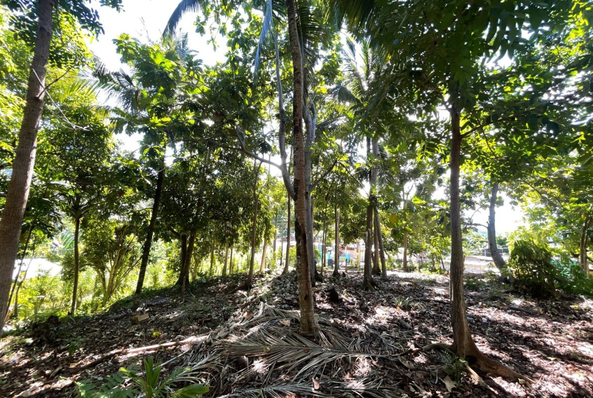 First image of Boundbrook Port Antonio in Port Antonio, Portland, Jamaica - property is For Sale