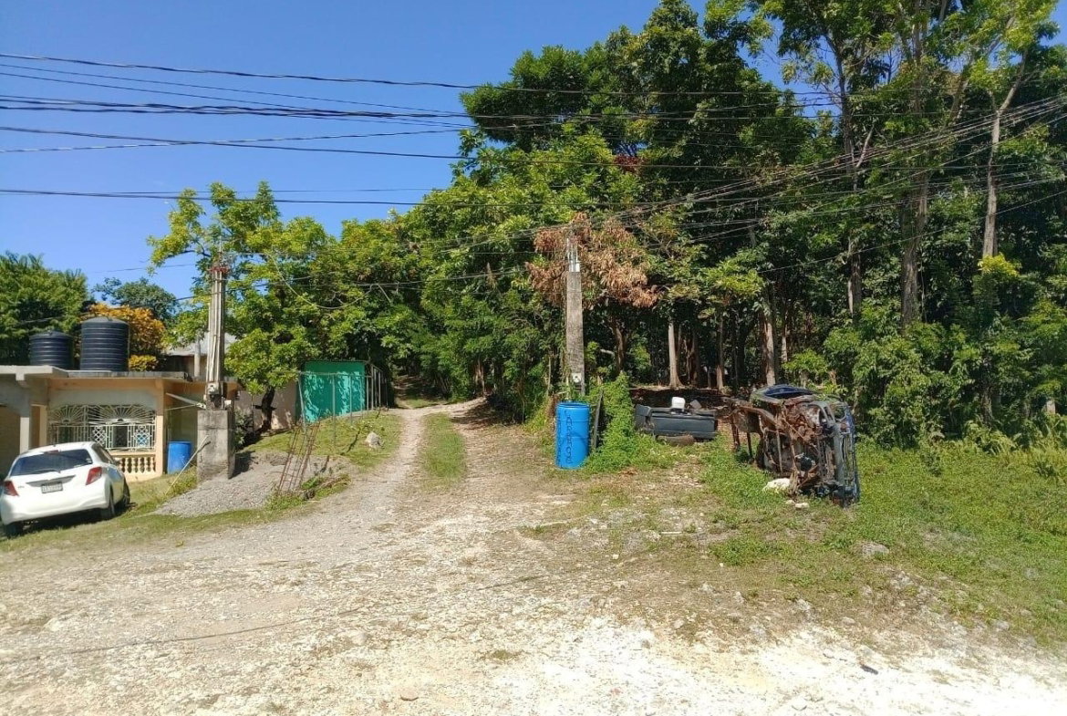 Thirteenth image of Boundbrook Port Antonio in Port Antonio, Portland, Jamaica - property is For Sale