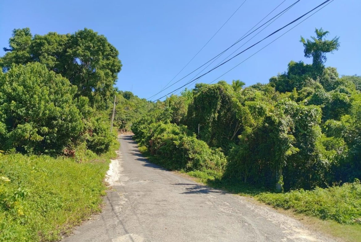 Fourteenth image of Boundbrook Port Antonio in Port Antonio, Portland, Jamaica - property is For Sale