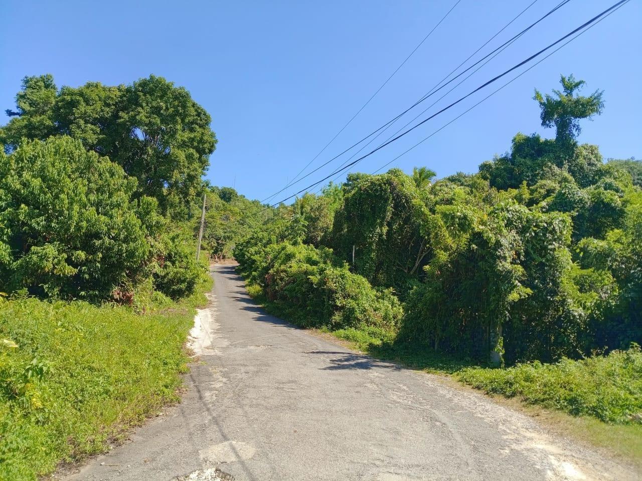 Fourteenth image of Boundbrook Port Antonio in Port Antonio, Portland, Jamaica - property is For Sale