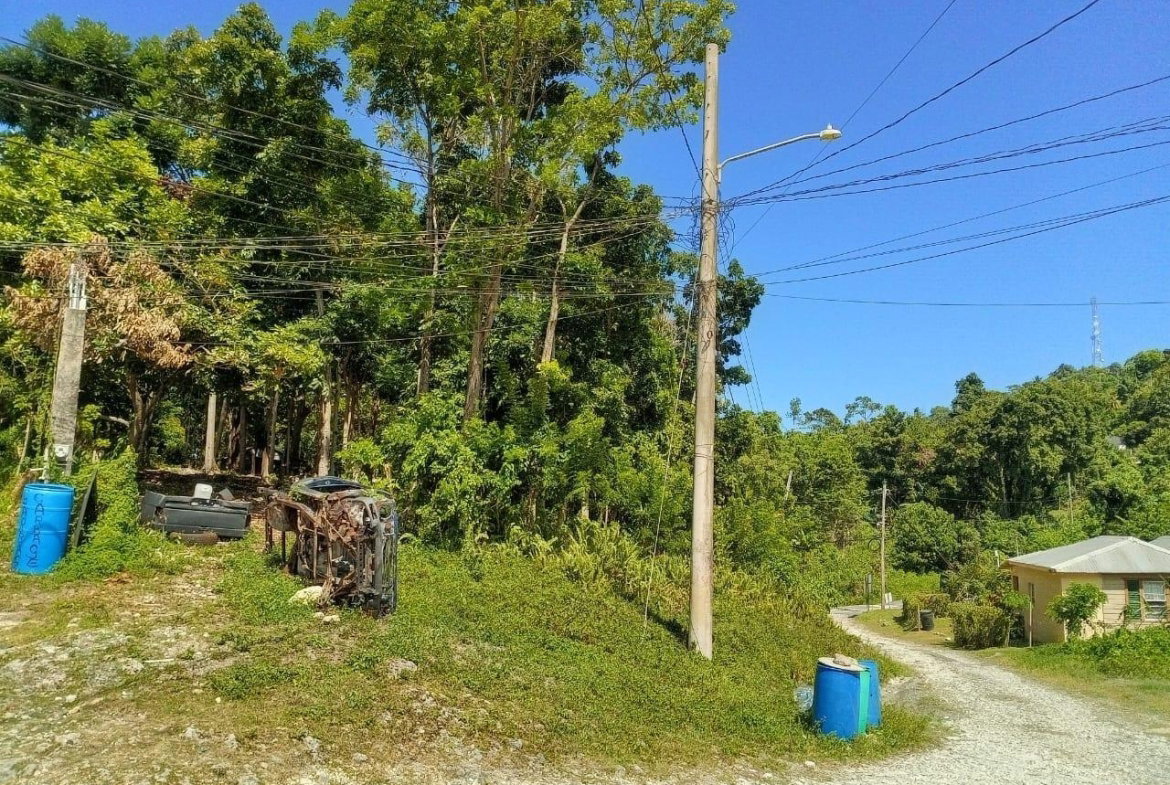 Fifteenth image of Boundbrook Port Antonio in Port Antonio, Portland, Jamaica - property is For Sale