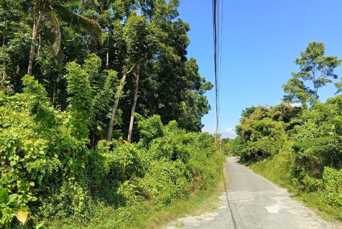 Seventeenth image of Boundbrook Port Antonio in Port Antonio, Portland, Jamaica - property is For Sale