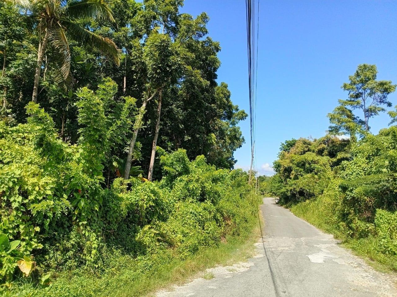 Seventeenth image of Boundbrook Port Antonio in Port Antonio, Portland, Jamaica - property is For Sale