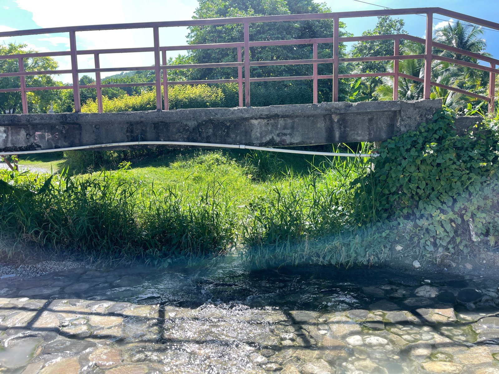 Nineteenth image of Boundbrook Port Antonio in Port Antonio, Portland, Jamaica - property is For Sale