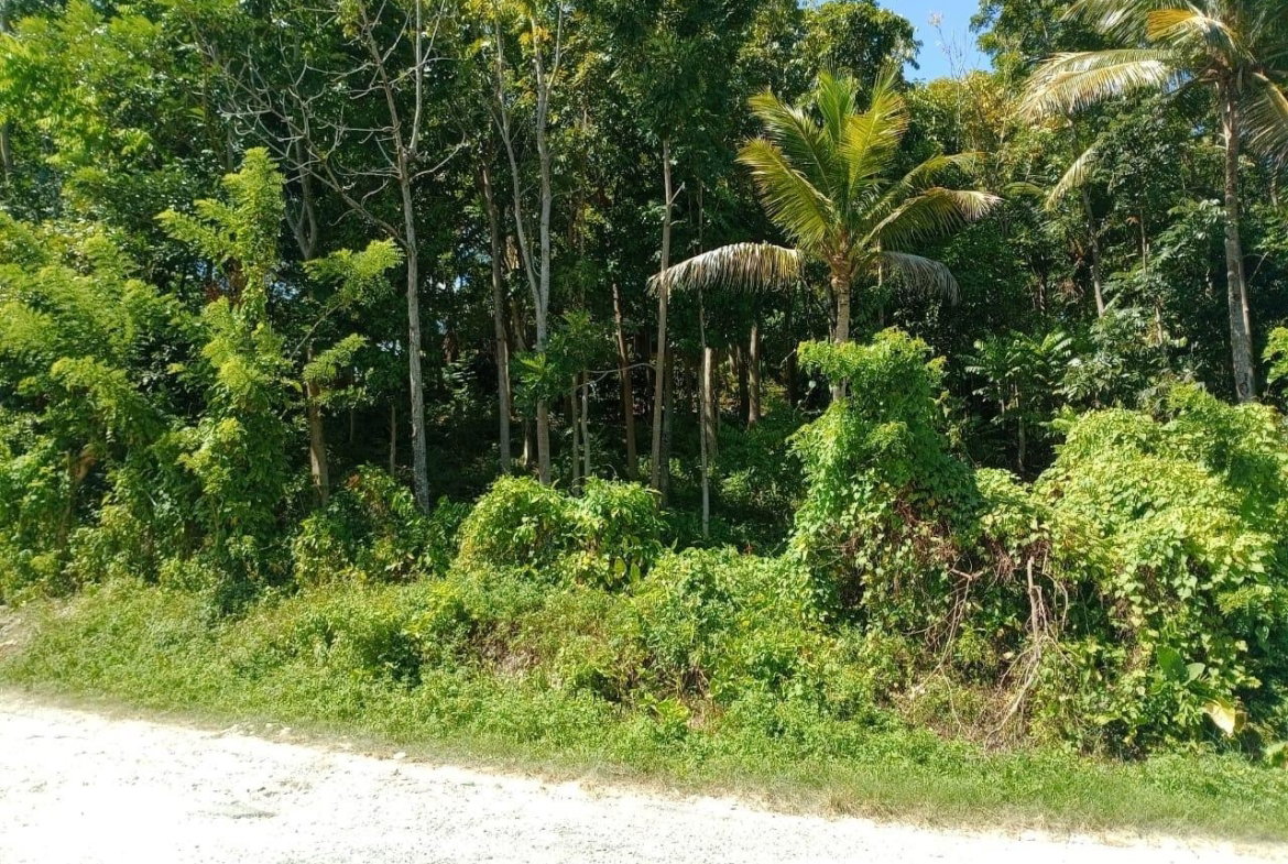 Third image of Boundbrook Port Antonio in Port Antonio, Portland, Jamaica - property is For Sale