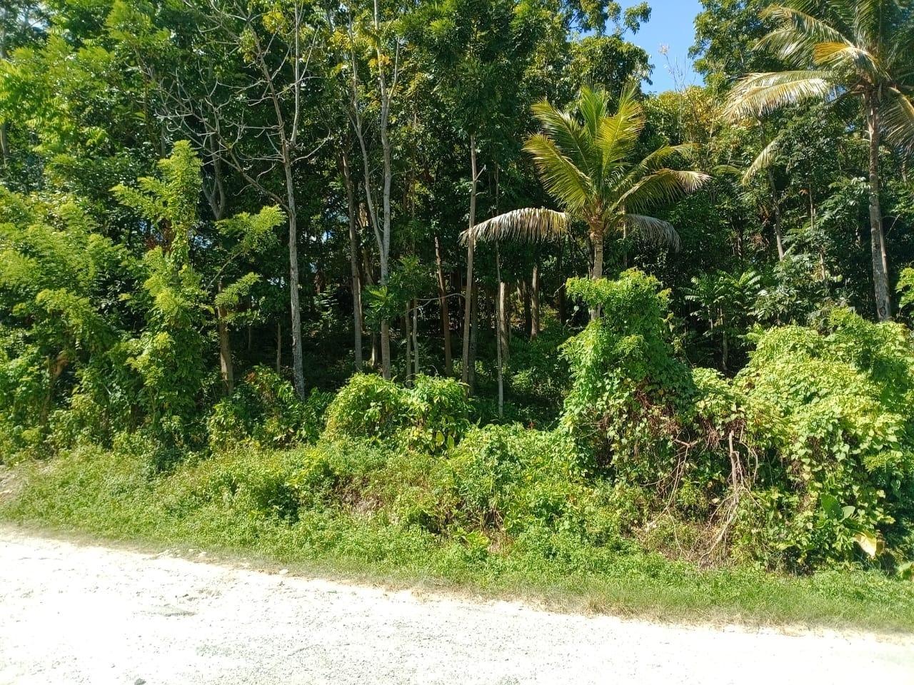 Third image of Boundbrook Port Antonio in Port Antonio, Portland, Jamaica - property is For Sale