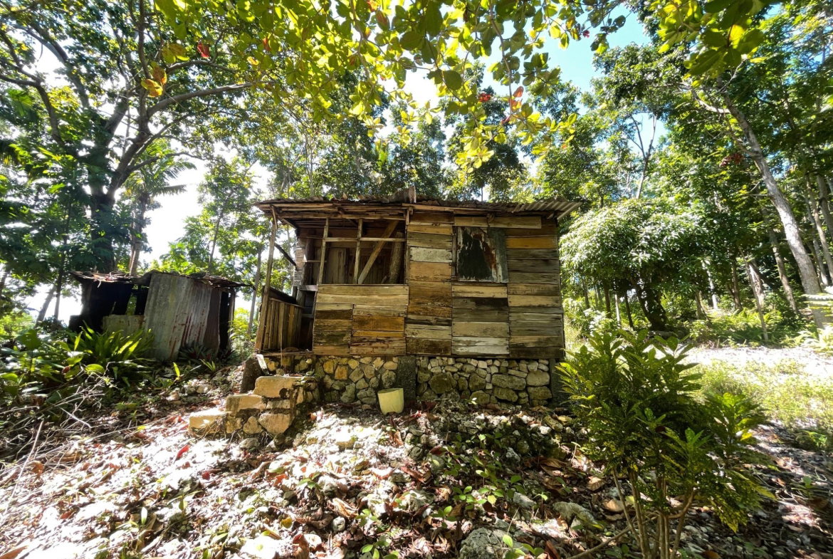 Fourth image of Boundbrook Port Antonio in Port Antonio, Portland, Jamaica - property is For Sale