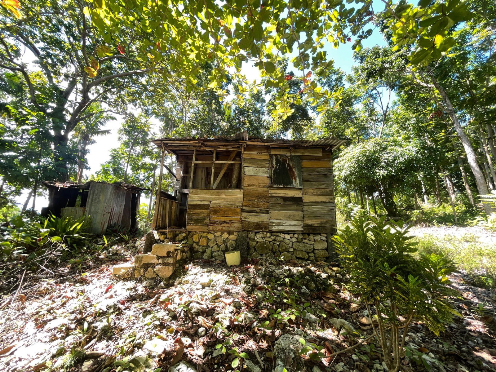 Fourth image of Boundbrook Port Antonio in Port Antonio, Portland, Jamaica - property is For Sale