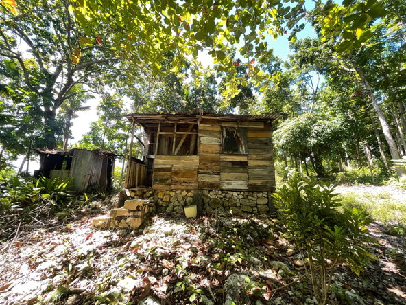 Fourth image of Boundbrook Port Antonio in Port Antonio, Portland, Jamaica - property is For Sale
