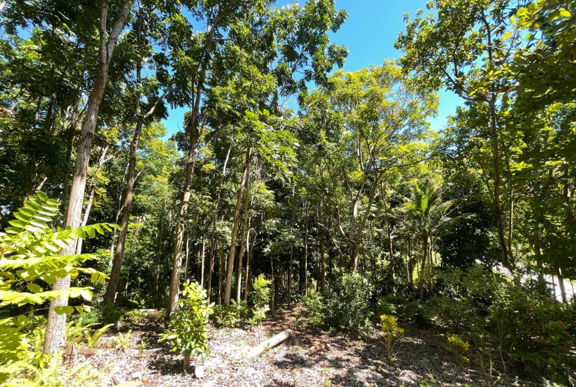 Fifth image of Boundbrook Port Antonio in Port Antonio, Portland, Jamaica - property is For Sale