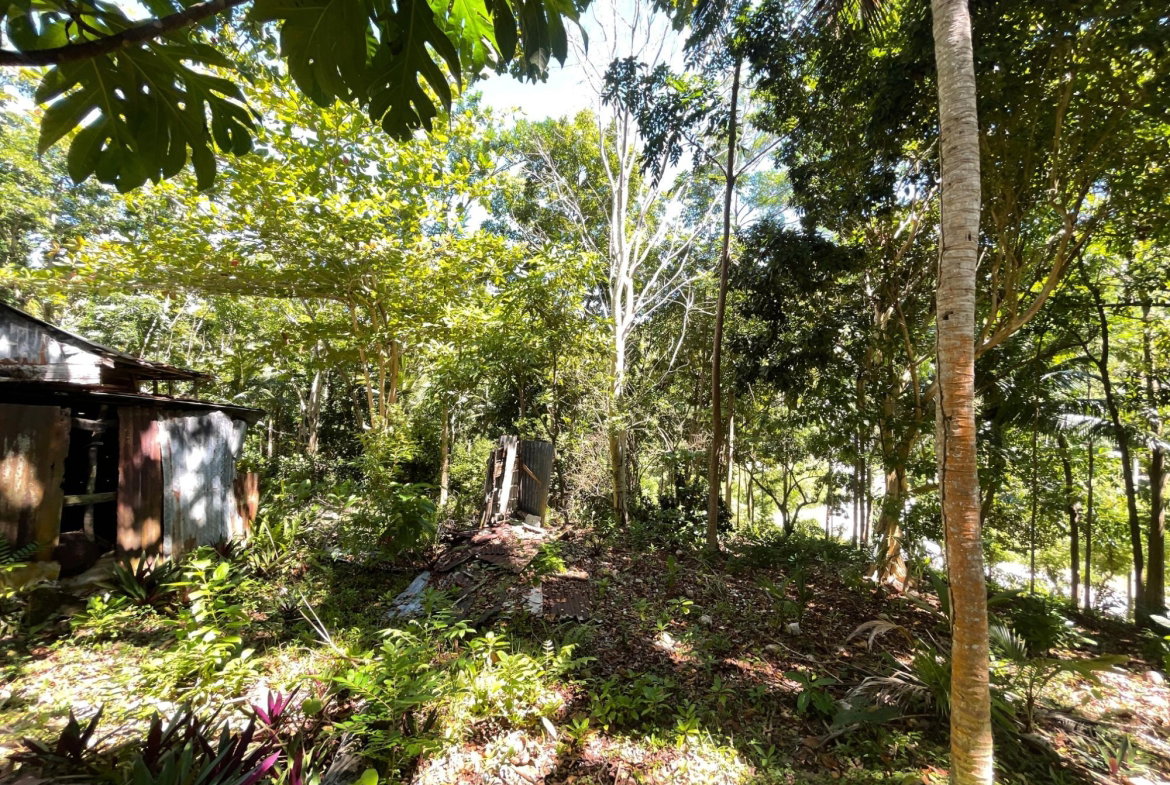 Sixth image of Boundbrook Port Antonio in Port Antonio, Portland, Jamaica - property is For Sale